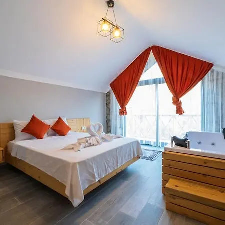 Hotel Mesedibi *
